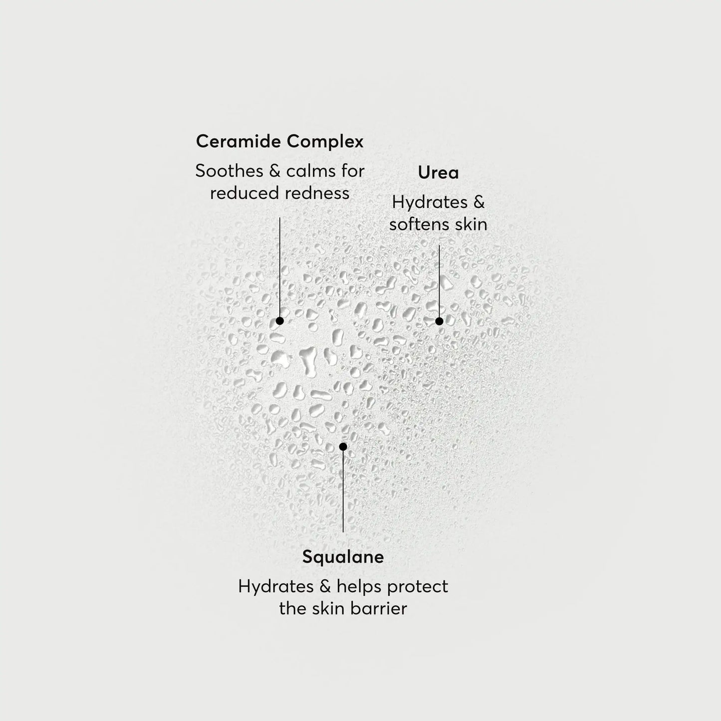 barrier-bounce-bi-phase-mist-l7 NATR-10167-Alt-Images-Barrier-Bounce-Bi-Phase-Toner-Mist_01.webp