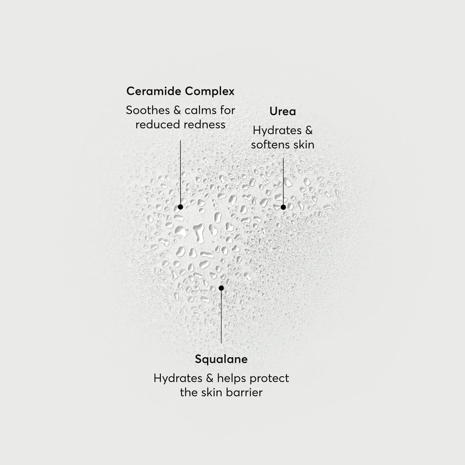 barrier-bounce-bi-phase-mist-l7 NATR-10167-Alt-Images-Barrier-Bounce-Bi-Phase-Toner-Mist_01.webp