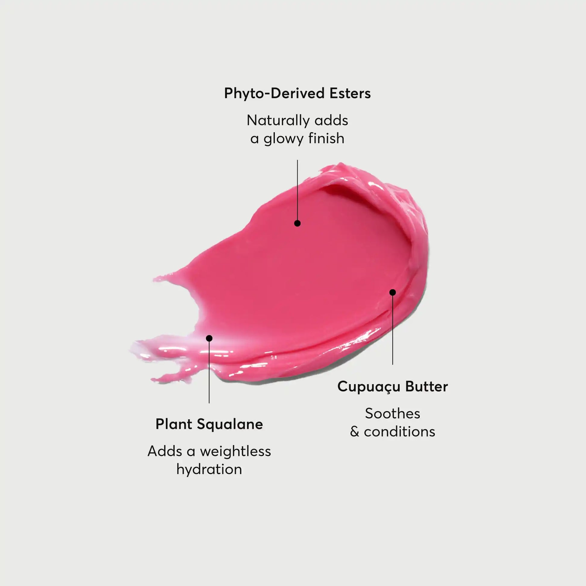 phyto-glow-lip-balm-camellia-h0 NATR-60075-Alt-Images-Phyto-Glow-Lip-Balm-Camellia-01.webp